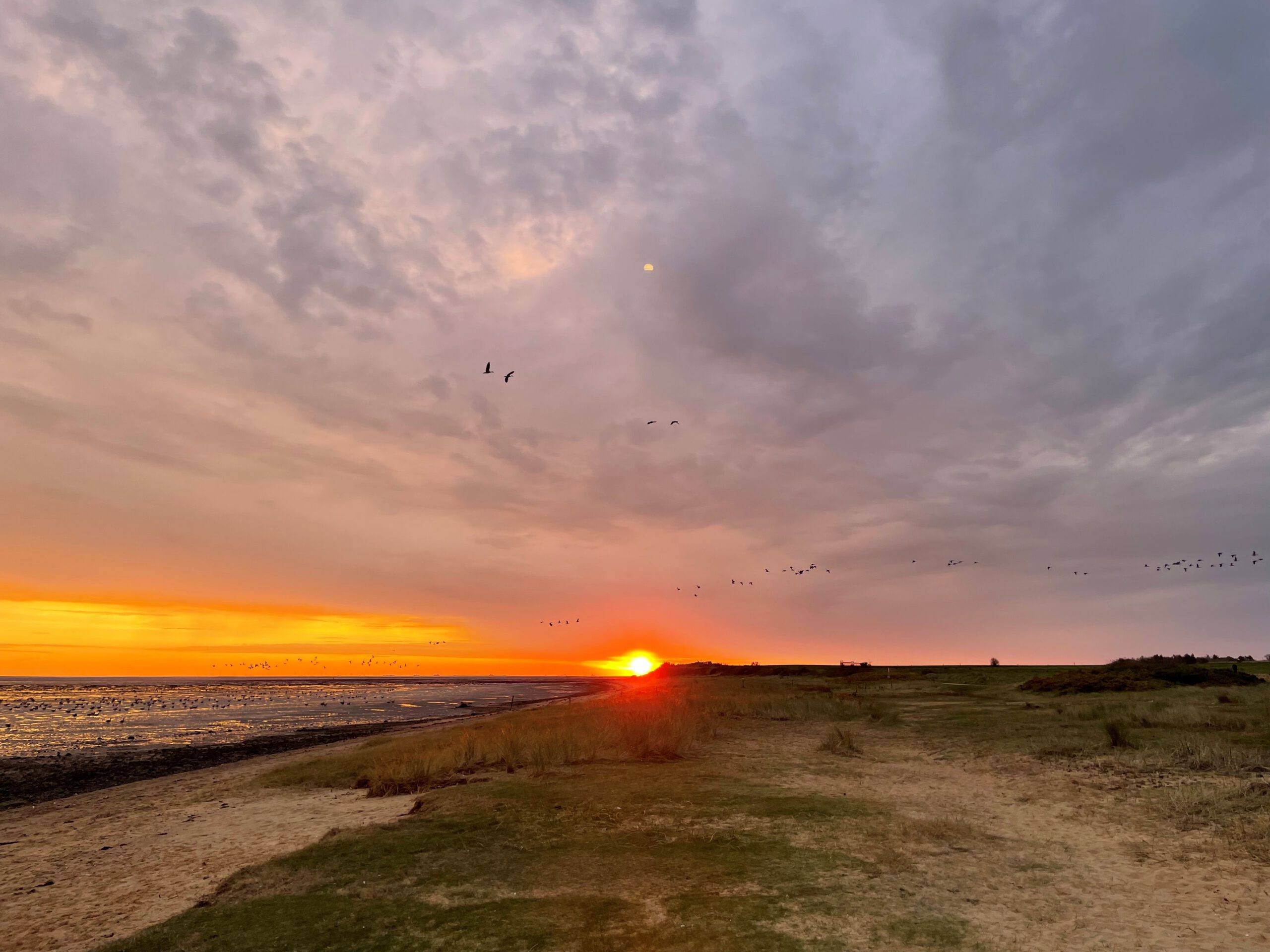 Martje - Sonnenaufgang über Steenodde